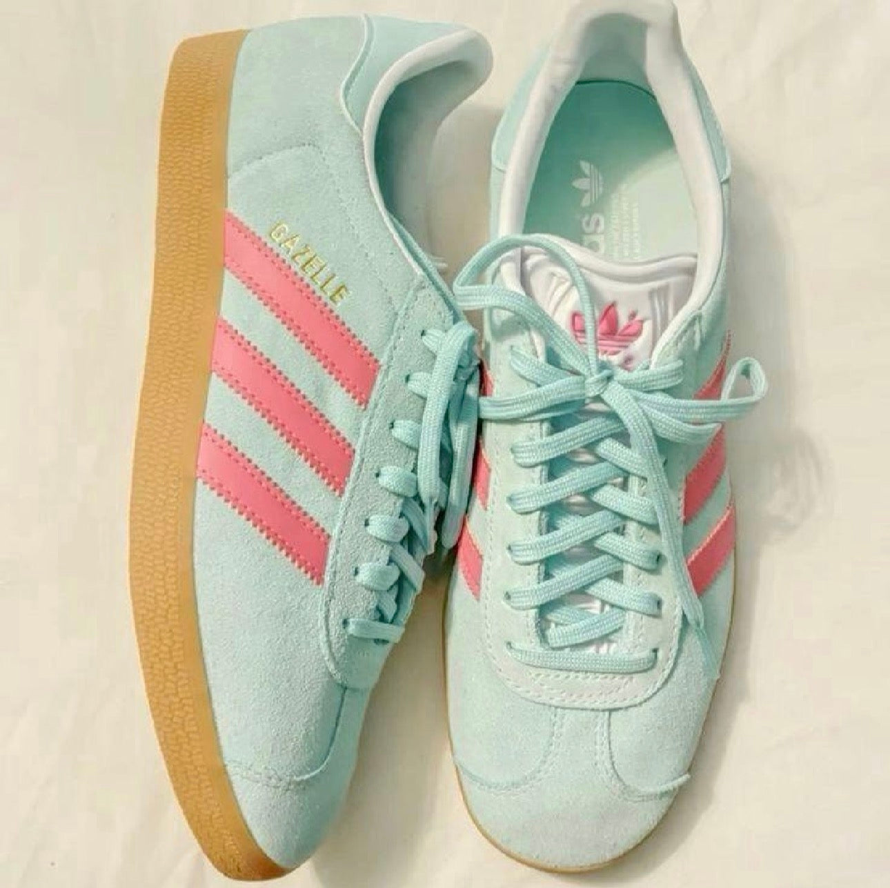 GAZELLE AZUL ROSA