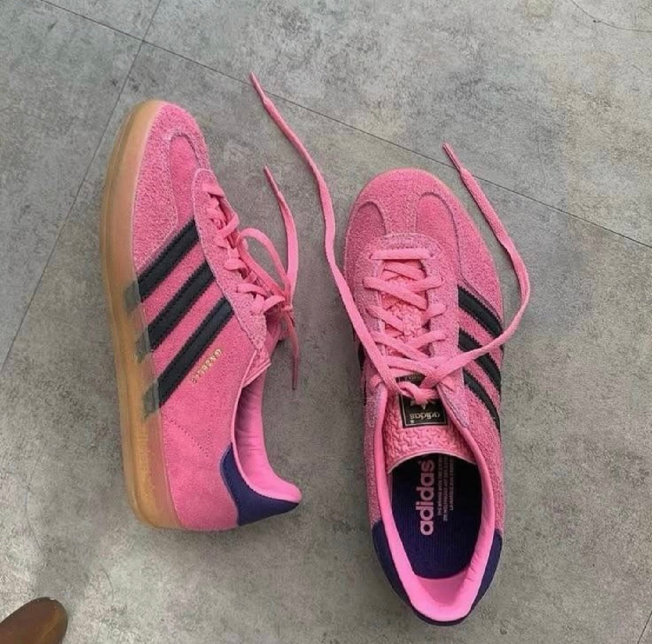 GAZELLE INDOOR PINK