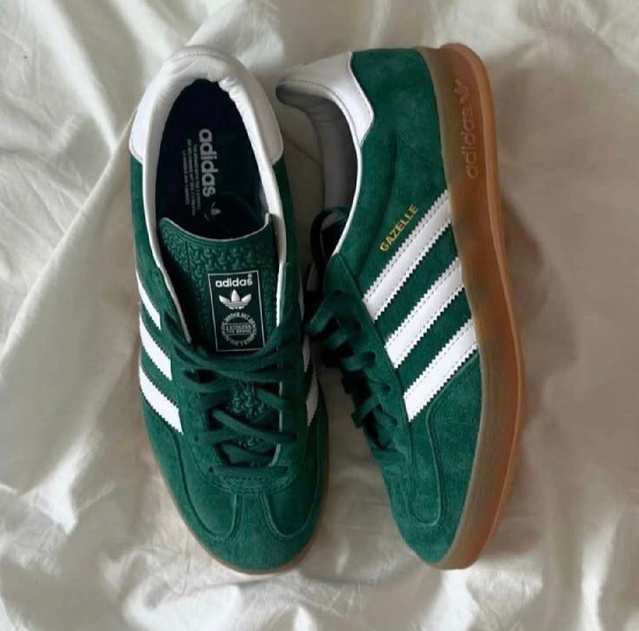 GAZELLE INDOOR VERDE