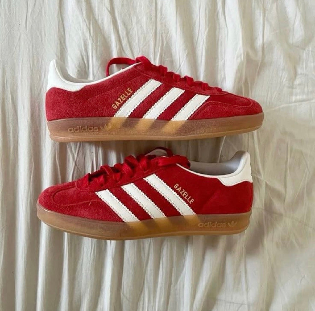 GAZELLE INDOOR VERMELHO